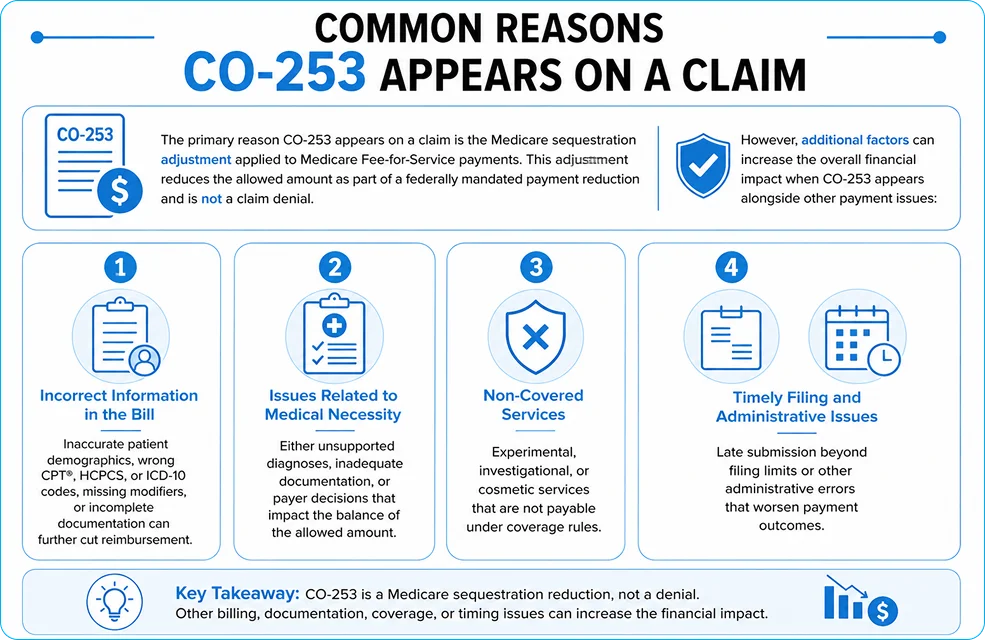 Common Reasons CO 253 Appears on a Claim