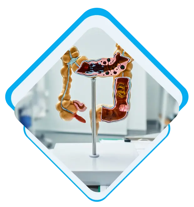 Group 440 image shows Gastrointestinal infection