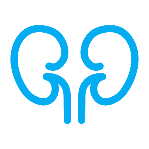 Nephrology Billing Back Image