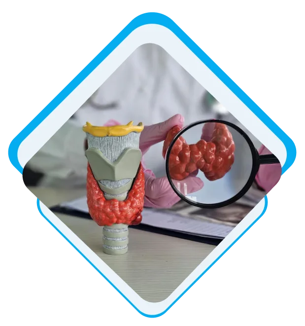 What Are the Most Common Endocrinology Billing Errors