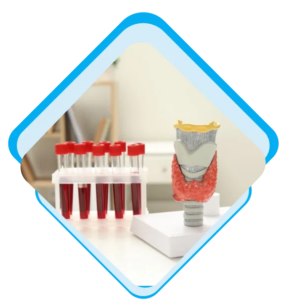 How Does Our Endocrinology Billing Process Work