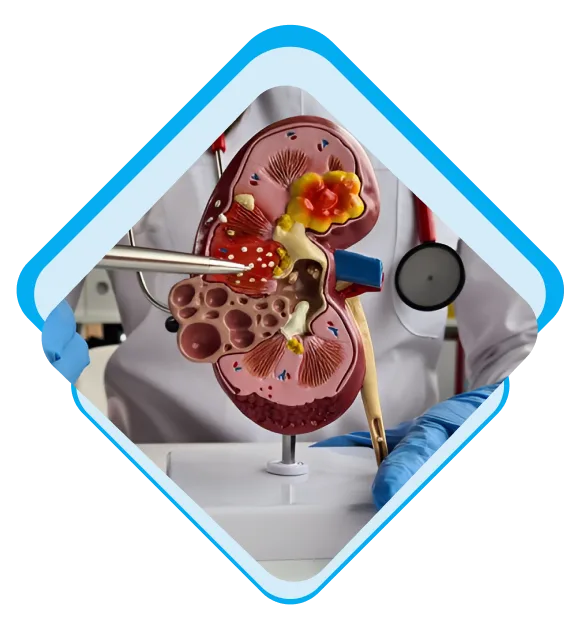 How Our Medical Billing Services Work Step-by-Step
