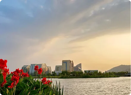 Springfield medical billing services in springfield Missouri, United States