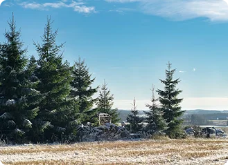 White Pine County in Nevada state